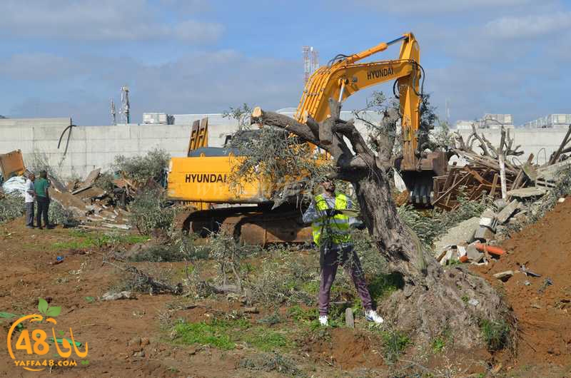 hadm ramla zatoen (14).JPG